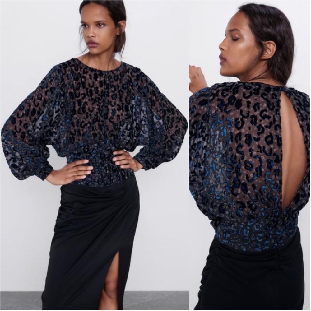 NWOT Zara Sheer Cheetah Long-Sleeve Top